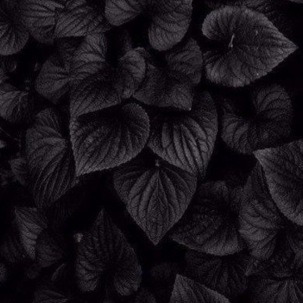 Meet your Posher, Marisol